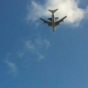 Meet your Posher, Darlene